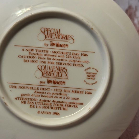 Vintage Special Memories by Tom Newsom - "A New Tooth" Collectable Plate by Avon - Picture 5 of 7